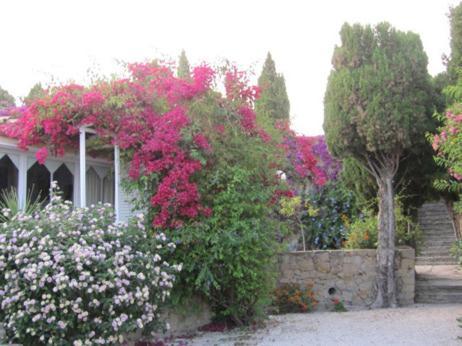 Sol Y Penon Ferienhaus *